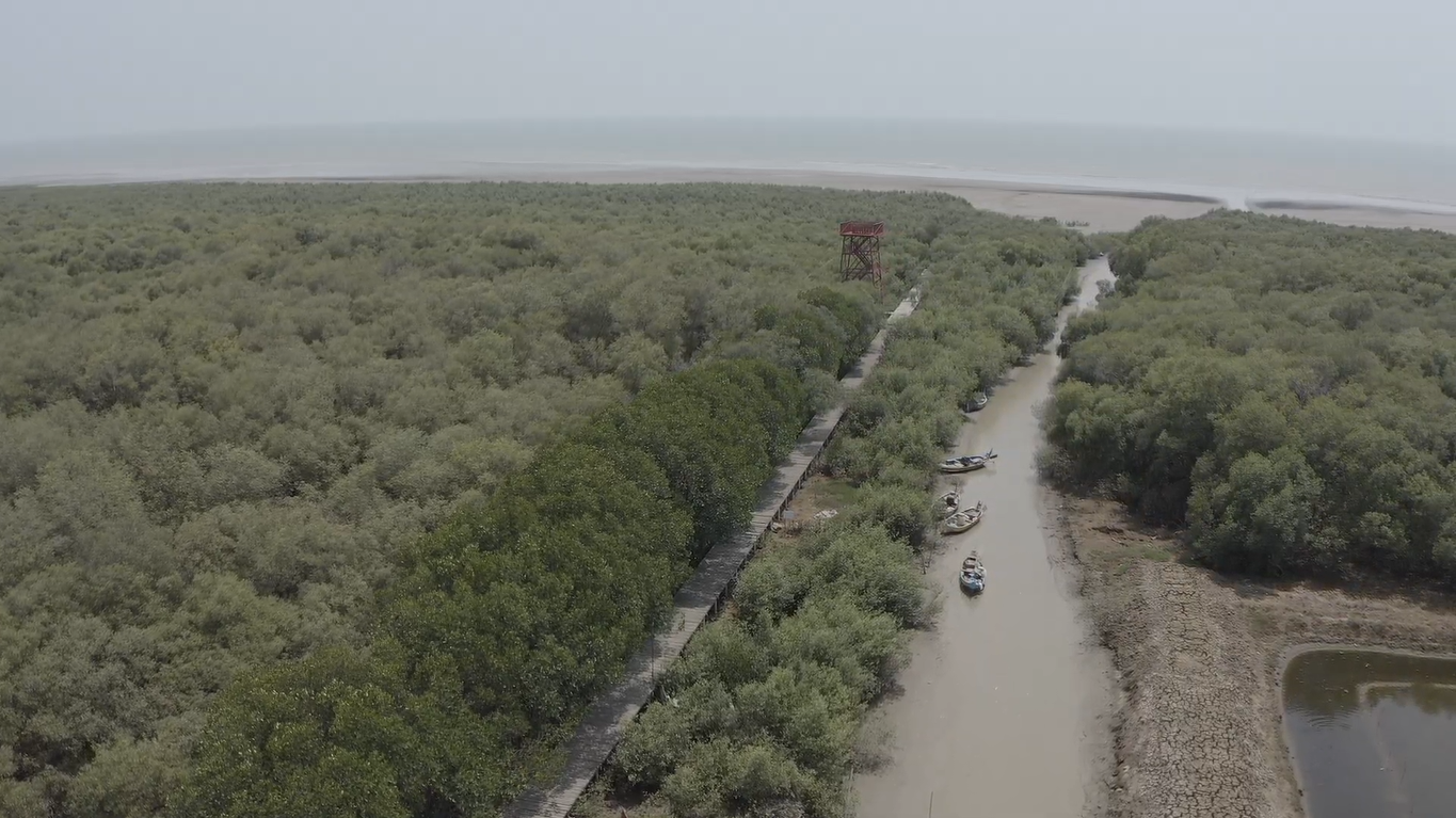 Konservasi Eduwisata Mangrove