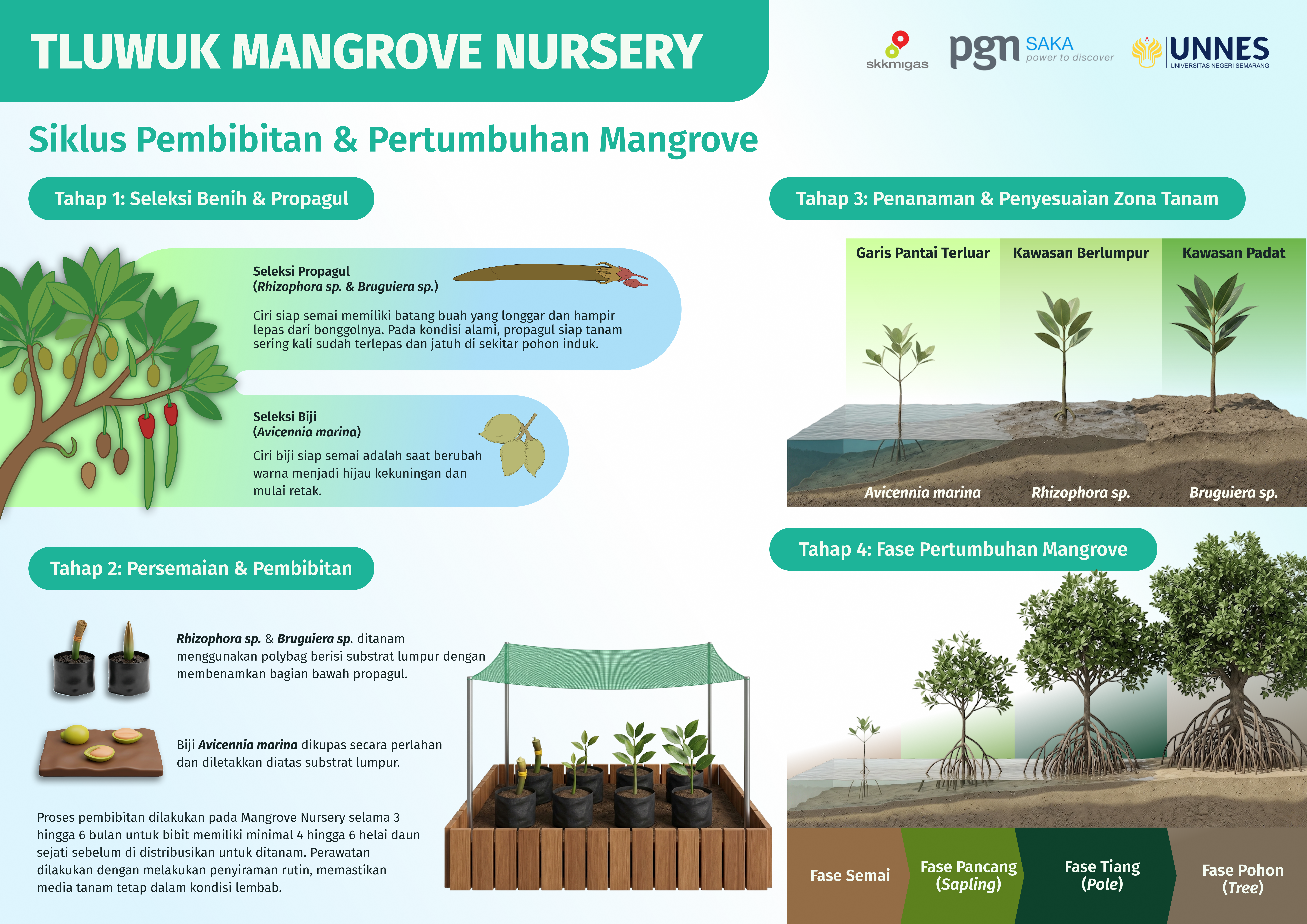 Papan informasi Mangrove Nursery Tluwuk